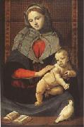 Piero di Cosimo The Virgin and Child with a Dove (mk05) Germany oil painting artist